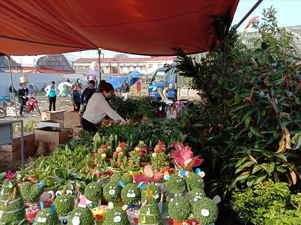 Chợ Viềng Nam Định 2